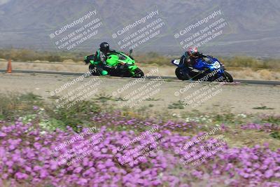 media/Feb-04-2023-SoCal Trackdays (Sat) [[8a776bf2c3]]/Turn 15 Inside Blooming (1050am)/